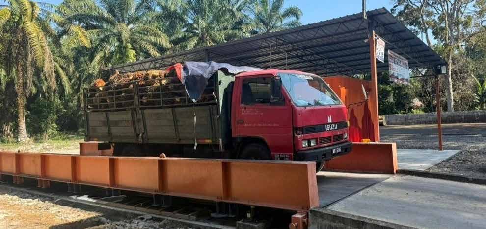 Harvest Palm operations